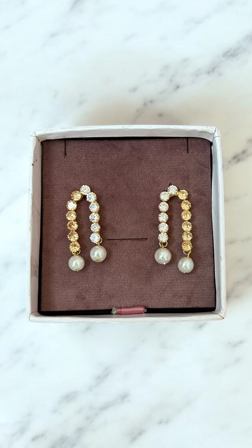 Gold X silver Earrings