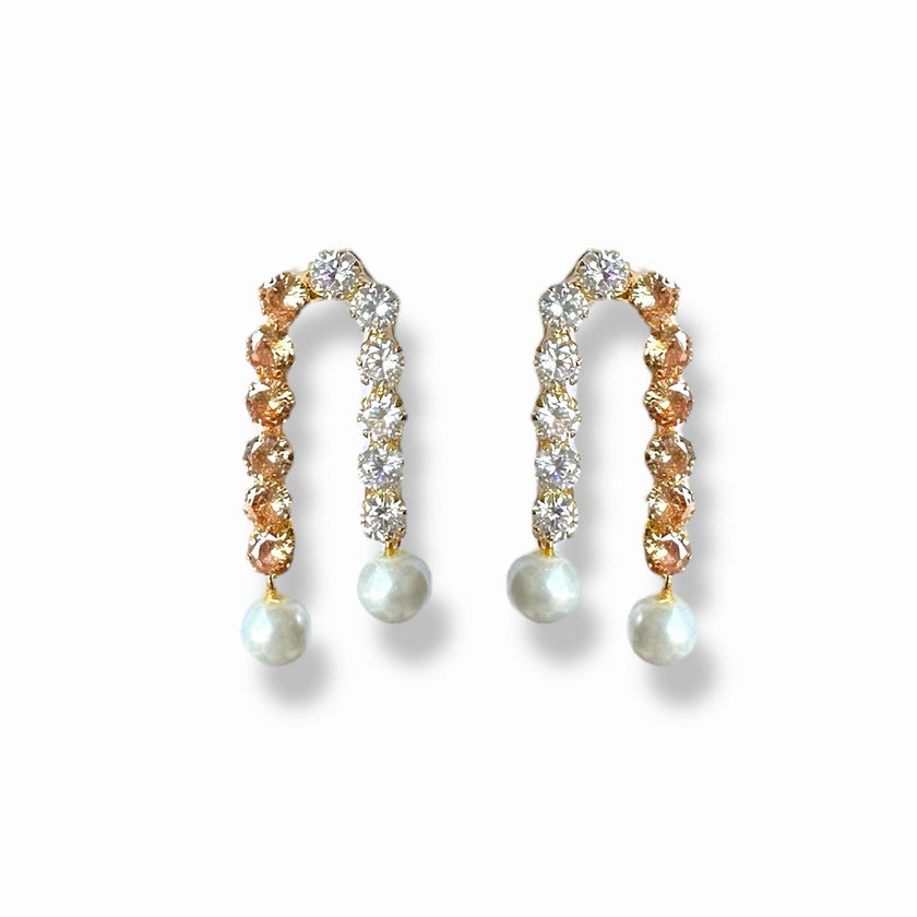 Gold X silver Earrings