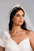 Floral Pointed Tiara